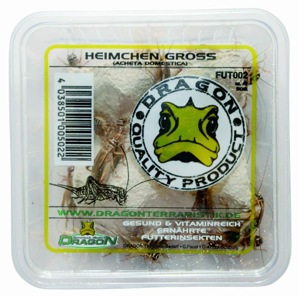 Heimchen